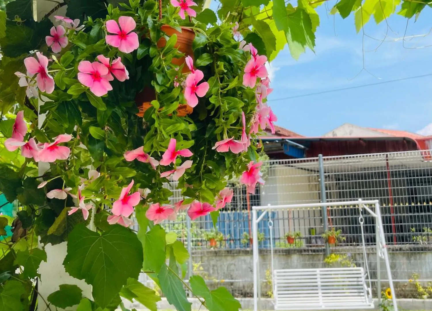 British Granny'S Cottage In Georgetown Jelutong